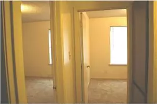 1317 Southport Dr, Austin, TX 78704 - Photo 5