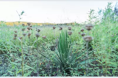 Tbd Crabapple Road, Blanco, TX 78606 - Photo 17