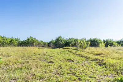 Tbd Crabapple Road, Blanco, TX 78606 - Photo 11