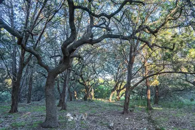 Tbd Crabapple Road, Blanco, TX 78606 - Photo 3