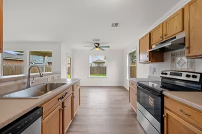 12808 James Madison Street, Manor, TX 78653 - Photo 11