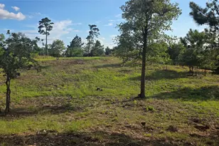 400 McAllister Rd, Bastrop, TX 78602 - Photo 1