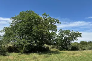 45 Acres County Road 330, Bertram, TX 78605 - Photo 1
