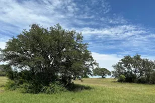 45 Acres County Road 330, Bertram, TX 78605 - Photo 5