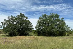 45 Acres County Road 330, Bertram, TX 78605 - Photo 7