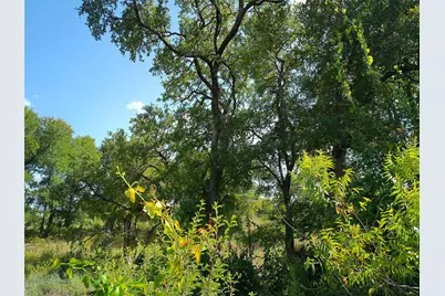 Lot 33 Serenity Drive, Bertram, TX 78605 - Photo 9