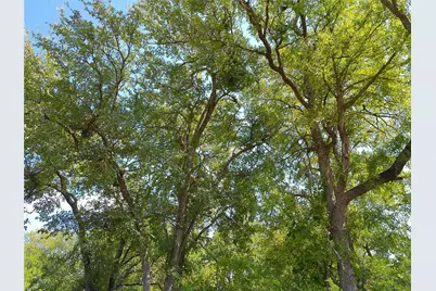 Lot 33 Serenity Drive, Bertram, TX 78605 - Photo 1
