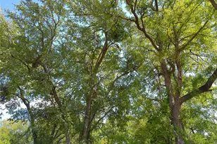 Lot 33 Serenity Dr, Bertram, TX 78605 - Photo 1