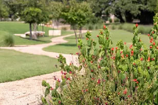 1324 Jolie Rose Bnd, Leander, TX 78641 - Photo 7