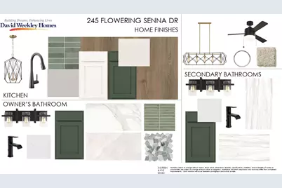 245 Flowering Senna Drive, Buda, TX 78610 - Photo 3
