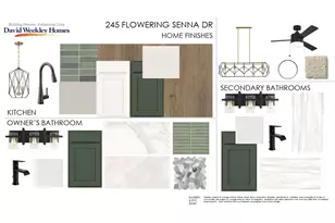 245 Flowering Senna Dr, Buda, TX 78610 - Photo 3