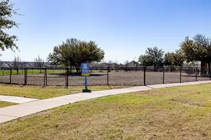 254 Small Seed Dr, Buda, TX 78610 - Photo 31