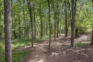 8317 Empress Blvd, Austin, TX 78745 - Photo 29