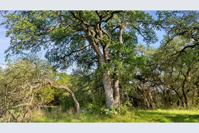 Lot 7 Morning Dew Drive, Round Mountain, TX 78663 - Photo 21