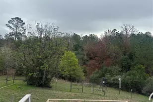 151 Cottletown Rd, Smithville, TX 78957 - Photo 11