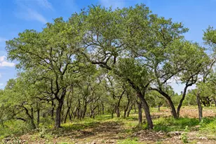 Lot 7 Pedernales Canyon Trail, Spicewood, TX 78669 - Photo 25