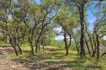 Lot 7 Pedernales Canyon Trail #Lot 7, Spicewood, TX 78669 - Photo 5