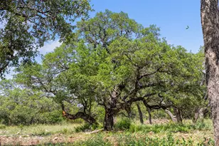 Lot 7 Pedernales Canyon Trail, Spicewood, TX 78669 - Photo 29
