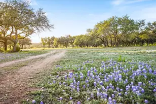 Lot 7 Pedernales Canyon Trail, Spicewood, TX 78669 - Photo 17