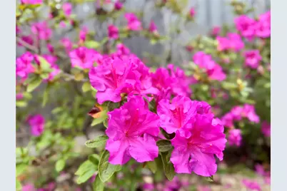 2210 Onion Creek Parkway #1404, Austin, TX 78747 - Photo 23