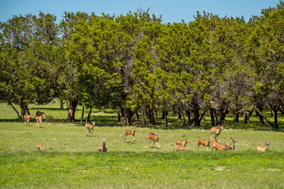 4503 Fm 1715, Lampasas, TX 76550 - Photo 25