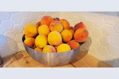 5216 Coppermead Lane, Austin, TX 78754 - Photo 21