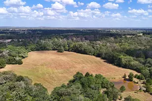 Tbd St Delight Rd (Tracts 8 & 13), Paige, TX 78659 - Photo 1