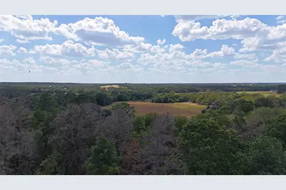 Tbd St Delight Rd (Tracts 8 & 13), Paige, TX 78659 - Photo 5