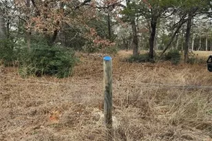 00 Milam Ln, Bastrop, TX 78602 - Photo 1