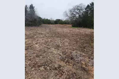 00 Milam Lane, Bastrop, TX 78602 - Photo 3