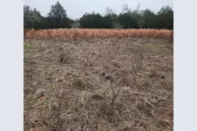 00 Milam Lane, Bastrop, TX 78602 - Photo 5