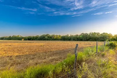 1830 Holub Road, Schulenburg, TX 78956 - Photo 9