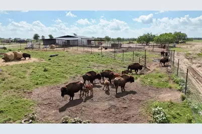 000 Watterson Road, Red Rock, TX 78662 - Photo 11