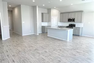 131 Spiny Lizard Ln, San Marcos, TX 78666 - Photo 3
