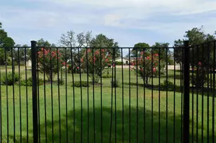 1006 Porpoise St, Lakeway, TX 78734 - Photo 5