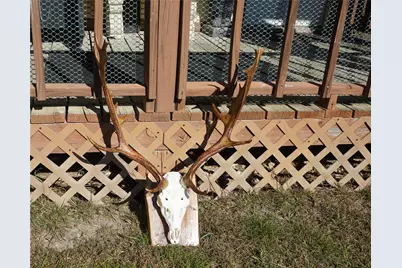 831 Magers Road, Concan, TX 78838 - Photo 29