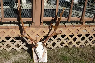 831 Magers Rd, Concan, TX 78838 - Photo 29