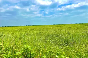 Tbd Tract 13 County Road 210, Eagle Lake, TX 77434 - Photo 1