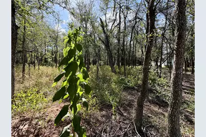 208 Waipahoehoe Drive, Bastrop, TX 78602 - Photo 13