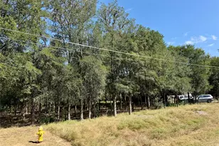 208 Waipahoehoe Dr, Bastrop, TX 78602 - Photo 1