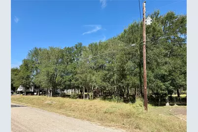 208 Waipahoehoe Drive, Bastrop, TX 78602 - Photo 3