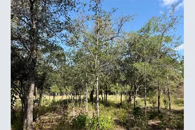 208 Waipahoehoe Drive, Bastrop, TX 78602 - Photo 21