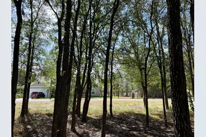208 Waipahoehoe Drive, Bastrop, TX 78602 - Photo 5
