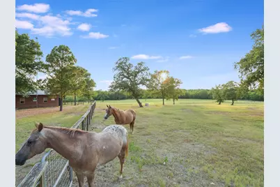 762 Karisch Road, Giddings, TX 78942 - Photo 29