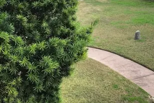 40 N Interstate 35, Austin, TX 78701 - Photo 27