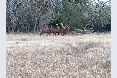 2265 County Road 106, Purmela, TX 76566 - Photo 29