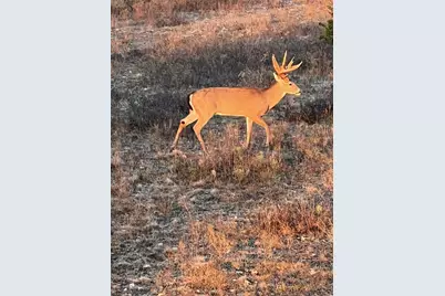 2265 County Road 106, Purmela, TX 76566 - Photo 27