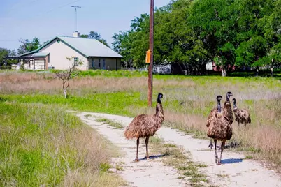 2265 County Road 106, Purmela, TX 76566 - Photo 11