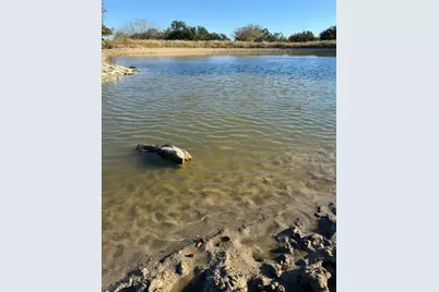 2265 County Road 106, Purmela, TX 76566 - Photo 31