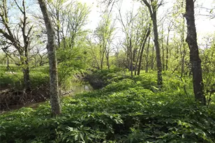 11248 Tom Sassman Rd, Austin, TX 78747 - Photo 23